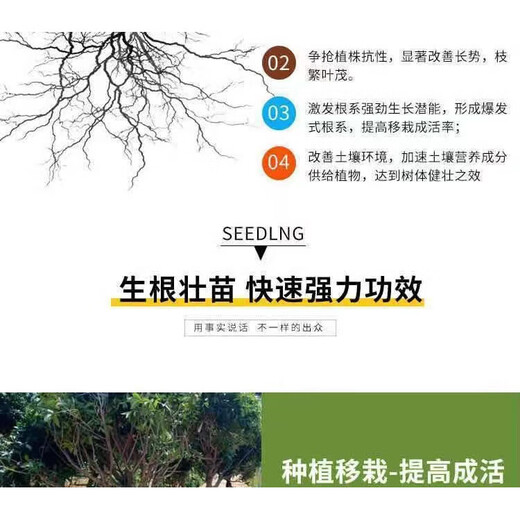 YWZR Fertilizante de fosfato Fertilizante de fosfato de calcio y magnesio Silicio orgánico Ajuste de flores, vegetales y árboles frutales Compactación del suelo Fertilizante base de frutas antigrietas Fertilizante universal Calcio puro, magnesio y fósforo 5Jin Jin equivale a 0,5 kg