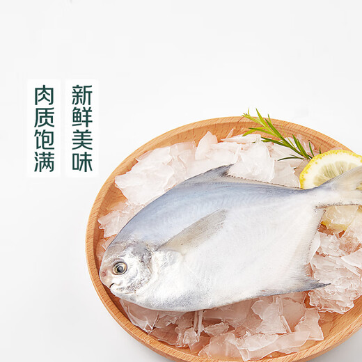 Chilled white pomfret 400g (pack of 4)