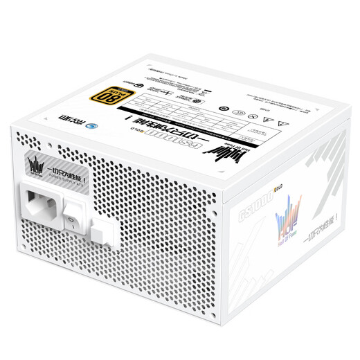 GALAXY Hall of Fame GS1000 Goldmedaille Vollmodul 1000W Computer-Netzteil reinweiß (alle japanischen Elektrolytkondensatoren/atx3.1/PCIE5.1/Ein-Knopf-Start/Stopp/mit Drahtkamm)