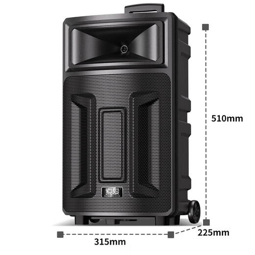 Sony Ericsson (soaiy) Q28V square dance sound card audio high-power subwoofer portable outdoor karaoke electric guitar instrument speaker Bluetooth rod microphone amplifier dual microphone