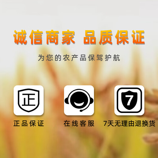 Shuofeng 481 Huazhiguo brassinolide lactone detoxifies citrus, cabbage, and wheat pesticide growth regulator 8ml