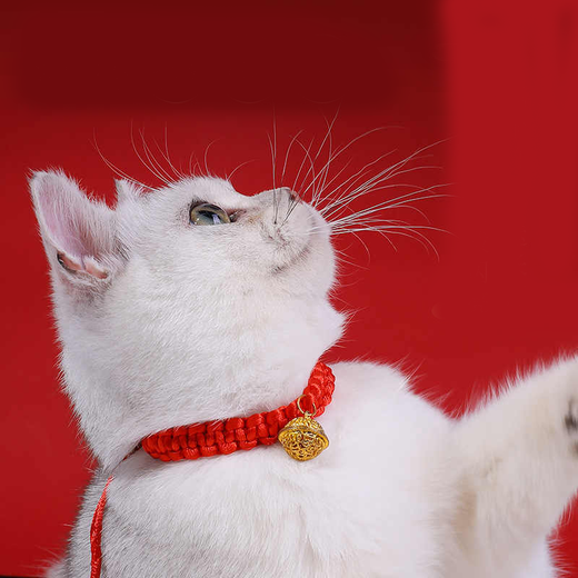 Jingji Cat Collar Neck Decoration Pet Necklace Collar Kitten New Year Red Rope Bell Chinese Style Dog Collar Accessories Red Rope-Bell Style Range 18-32cm