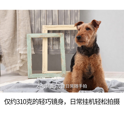 Canon (Canon) mirrorless lens wide-angle telephoto zoom lens Canon mirrorless camera lens RF-S 18-150 IS STM RF-S 18-150 IS STM original and not dismantled