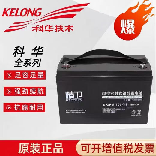 科华恒盛科华精卫蓄电池6-GFM-100-YT/12V100AH/12V65AH/12V38AH直流屏UPS 连接线