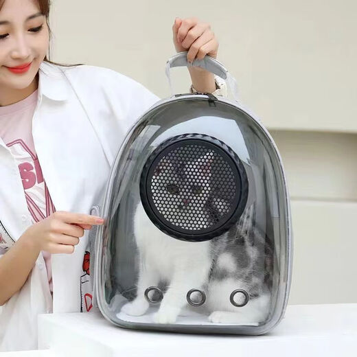 MODX Outing Space Pet Pet Supplies Tragbarer Raumkapsel-Rucksack mit großer Kapazität, transparente Katzenausflugstasche, hellgrünes + transparentes Modell, verbessertes Panoramamodell mit seitlicher Öffnung
