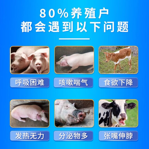 Luanci First Aid Veterinary Cough and Asthma Stop Pig, Cattle and Sheep Cough and Asthma Clear Piggy Cough and Asthma, Relieve Asthma and Rotten Lungs and Respiratory Tracts Pig Use to Clear Lungs and Resolve Phlegm 3 Bottles