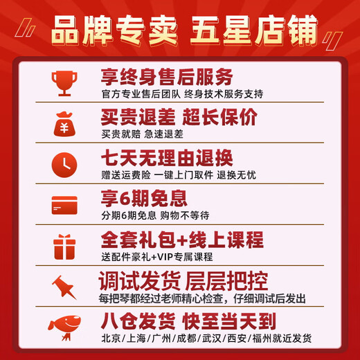 红棉（Kapok）手工实木小提琴入门练习学生儿童成人通用初学者考级NS-30 1/2