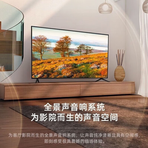 Konjia Mitu National Subsidy 40% New 55-inch LCD Large Screen TV Bedroom HD Eye Protection Anti-Blue Light Home Intelligent Voice Narrow-Edge Ultra-Thin Projection Display 55LED HD Eye Protection TV Version Length and Width 93X52 Centimeters