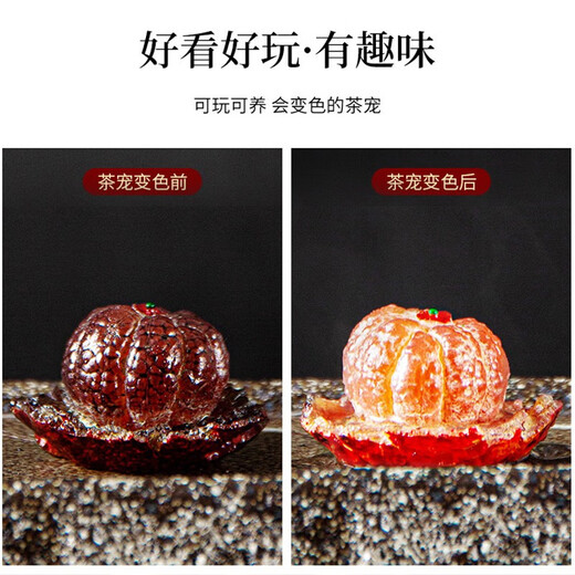 Xixi Taitai tea pet color-changing orange tea pet ornaments boutique can grow tea table tea set tea set tea play tea ceremony Zen tea ornaments color-changing full-open orange