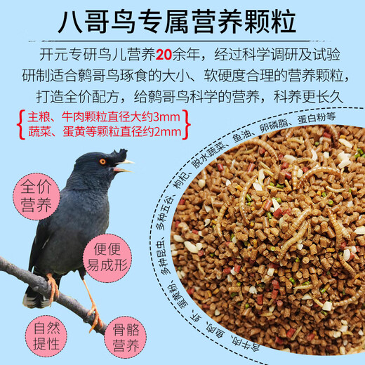 Kaiyuan (KO) full price starling bird food with added insect dried beef starling special bird food starling baby bird feed grain barrel, exclusively for full price starling bird food 1kg*2