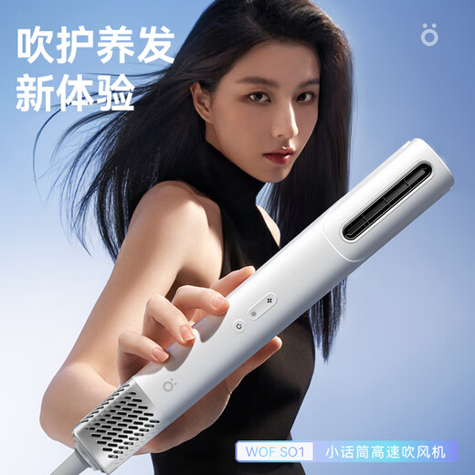 Wofu household plasma high-speed hair dryer quick-drying portable straight maintenance hair dryer constant temperature high wind S01 matcha green