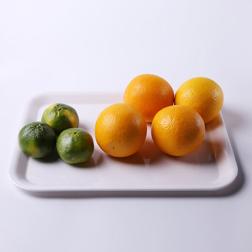 Quanshi A5 melamine tea tray saucer plastic rectangular tray fruit tray food tray canteen rice tray serving tray large