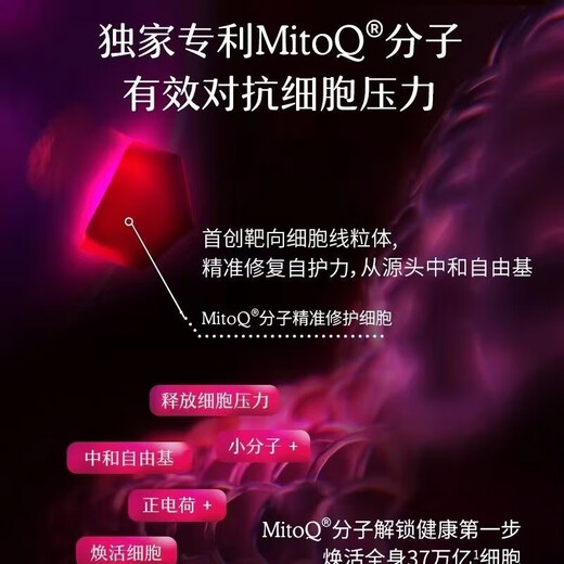 Mitoq importiert aus Neuseeland MitoQ Augenschutzkapseln Augenschutz Blaubeere Heidelbeere Lutein Q10 gegen blaues Licht 60 Kapseln zur Linderung MitoQ helle Augenkapseln * 2 Flaschen