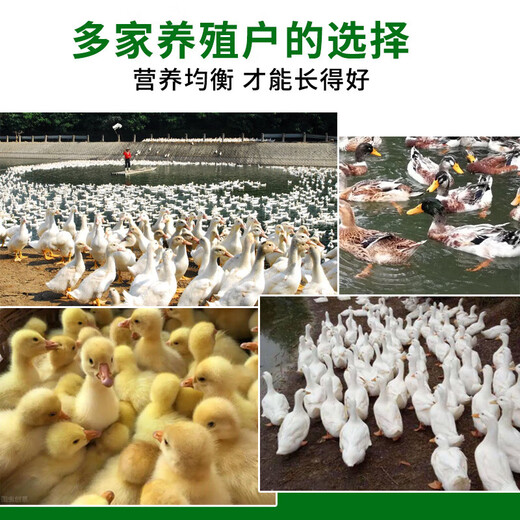 Duck feed for ducks, medium and large duck feed for small ducks, large grains of meat ducks for laying eggs, ducks, chickens and geese for nesting, duck and chicken feed 0.11Jin Jin is equal to 0.5kg, about 55g in hand