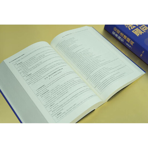 Corporate Legal Counsel Practical Guidelines 4th Edition