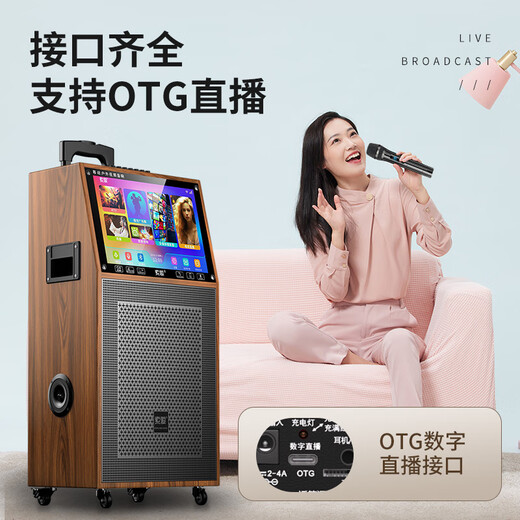 Sony Ericsson (soaiy) SA-K10S square dance display lever video machine outdoor karaoke electric guitar instrument speaker ktv audio karaoke machine