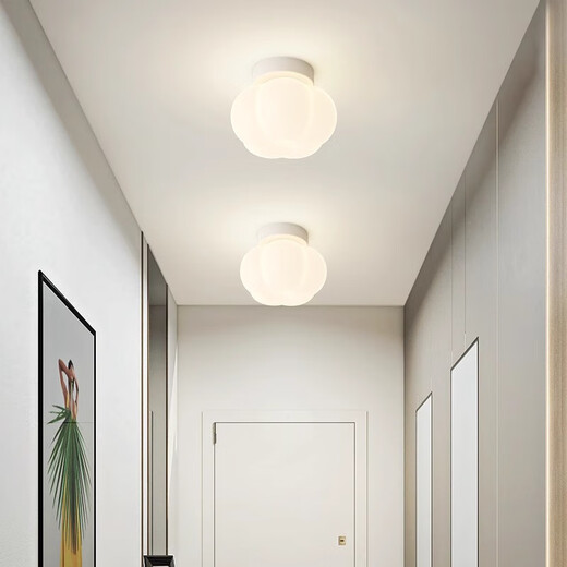 Laiqi ceiling lamp warm and romantic cream style balcony aisle entrance light 2026 new full spectrum lighting Guangdong Zhongshan CX689 white single head aisle style +16CM+7W three-color dimming