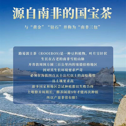 Xiaozhu’s Secret Age-Reducing Tea Hutchison Qingzi South African Rooibos Tea for Staying Up and Restoring Age-Reducing Tea South African Rooibos Tea Value-for-money Family Pack of 9 Boxes