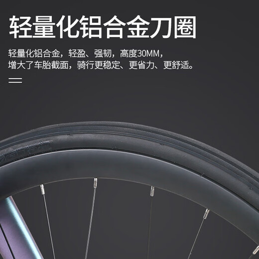 喜德盛（xds）公路自行车RT280禧玛诺14速线拉油碟入门单车 炫彩灰紫/黑480 