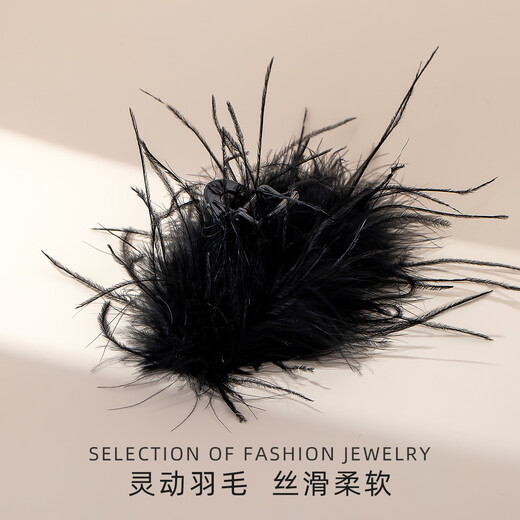 Qlady Black Swan Shark Clip Hair Accessories Feather Clip High-end Hair Clip Women's Back of Head 2025 New High-end Headwear