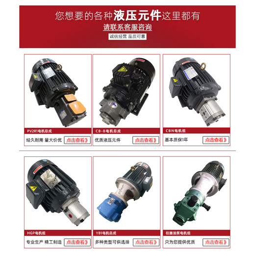 Hydraulic oil pump motor unit PV2R1+3KW5.5KW hydraulic pump assembly inner shaft motor hydraulic station accessories 22KW inner shaft motor (oil pump separately +)
