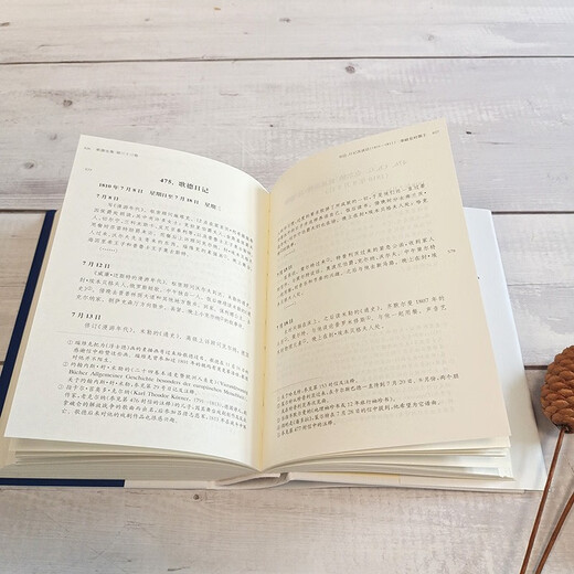 Das Gesamtwerk Goethes. Band 33. Briefe, Tagebücher und Gespräche Napoleonische Periode I (1805 - 1811)