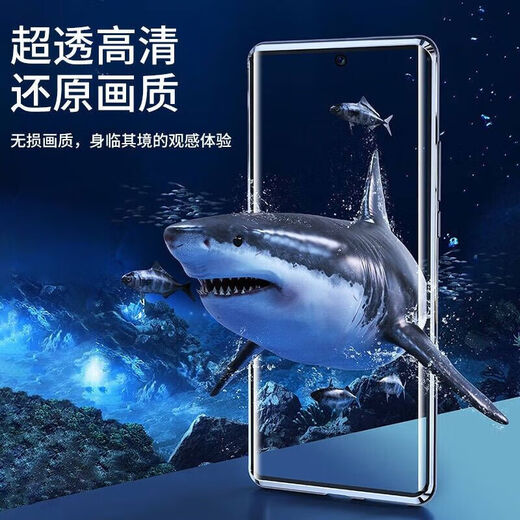 Suoaige Honor 300pro Mobiltelefone Hülle Ehren 300/300 Ultra-Schutzhülle Neue Männer und Frauen doppelseitiges Glasflip Magnetic Metall-Rahmenlinsen Vollbedeckung Doppelseitige Glas [Schwarz] HD Model Honor 300 Pro