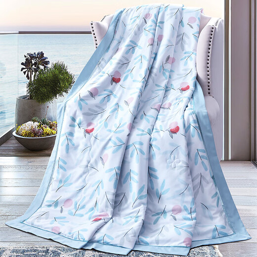 杉杉（FIRS）臻丝缎蚕丝被-芳华QFS-12128高支高密面料 手感细腻不变形 1500g 200×230cm