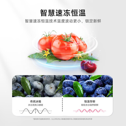 LG大容量664L家用冰箱双开门国家补贴节能风冷无霜电冰箱对开门分区精储以旧换新S674MEG11D