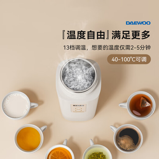 DAEWOO portable kettle and cup 316 stainless steel travel electric kettle heating cup baby constant temperature travel thermos cup D9 450ml