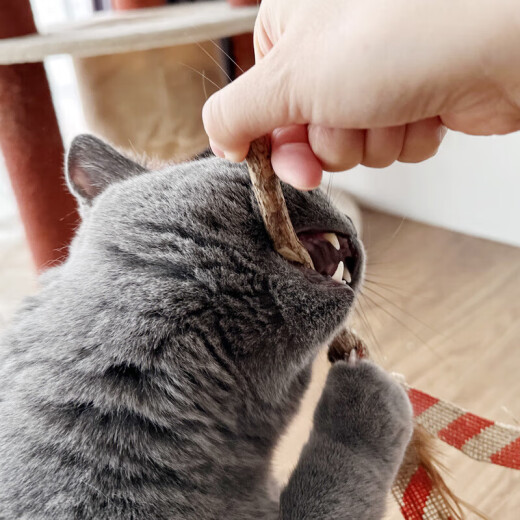 Tada Cat Muten Polygonum Linen Feather Cat Toy Bite-Resistant Self-Happiness Relieve Boredom Cat Teething Funny Artifact Cat Supplies Red + White