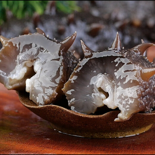 Grandma Zhang Dalian organic ready-to-eat sea cucumber 2Jin Jin equal to 0.5kg 14-20 pieces high quality pollution-free seafood aquatic products gift box gift giving