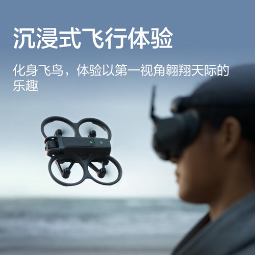 大疆DJI Avata 2 第一视角航拍无人机 飞行眼镜体感操控沉浸式飞行体验 高清专业航拍器 穿越无人机 【多人推荐】双电版【含128G卡+配件礼包】 一年版随心换（359元）