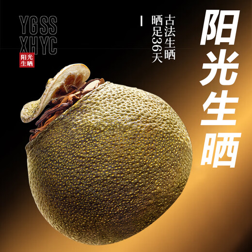 佰儒茶叶礼盒年货礼品 小青柑普洱茶 新会小柑橘茶陈皮柑普熟茶500g