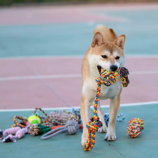 Gasgoo dog toy puppy rope bite-resistant molar rope ball puppy Teddy Border Collie Golden Retriever interactive tug-of-war 5-piece set