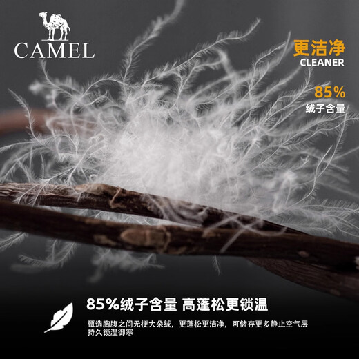骆驼（CAMEL）黑钻系列短款羽绒服女装冬新款保暖防风连帽羽绒外套面包服 724CA6B601C	，白玉粉，女 2XL