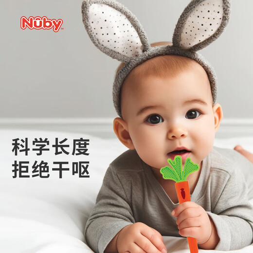 Nuby feeding supplies, baby teether, baby teeth soothing fruit teether, 3/6 months chewable and boilable, carrot shape, 1 pack