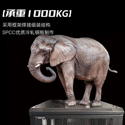 Totem Bodyguard 22U network server cabinet G3.6622.EA thickened steel 19-inch government and enterprise projects send Bull 8-port PDU free silk screen G3.6822 (600 width * 800 depth) 1.2 meters 24U