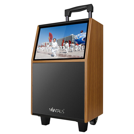 Jinzheng square dance audio with display screen outdoor audio karaoke all-in-one trolley speaker mobile Bluetooth home KTV audio karaoke machine large volume 21# Bluetooth wooden trolley flagship version (no microphone standard without U disk without bracket