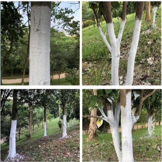 Junpinshijia quicklime powder 50Jin [Jin is equal to 0.5kg] insect repellent water purification white ash tree brushing livestock farm quicklime powder desiccant