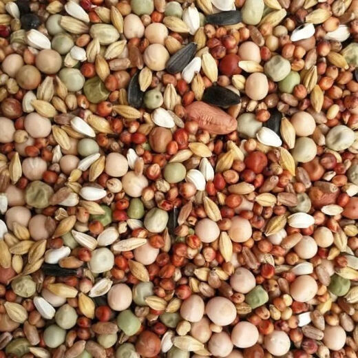 New pigeon food nutrition contains corn 10kg bird food homing pigeon white adult young pigeon ornamental pigeon food without corn pigeon food 3Jin Jin is equal to 0.5 kg