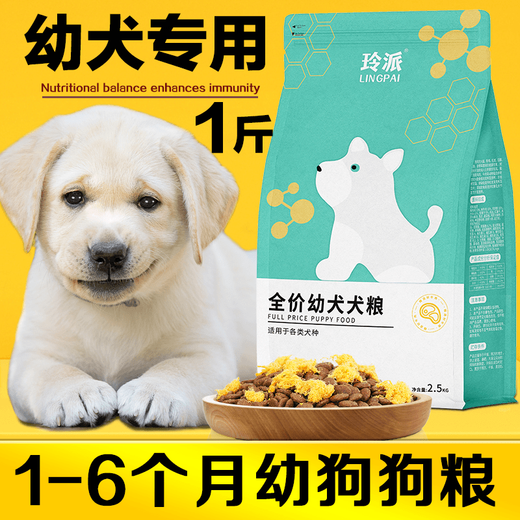 Universal Labrador puppy dog food for 0-6 months, small, medium and large dogs, Golden Retriever, Teddy Bichon, nutritional combination, stomach protection, calcium supplement, meat floss dog food 500g (1Jin Jin is equal to 0.5kg)