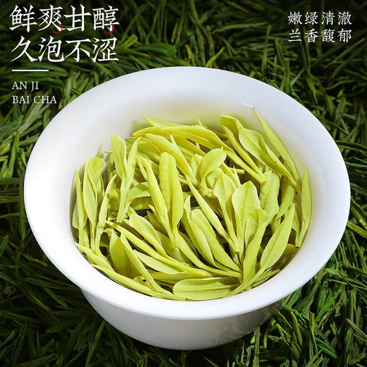 Chen Yifan rare white tea tea green tea Anji Baiye No. 1 tea tree fresh leaves and buds rare white tea 50g Chen Yifan rare white tea tea green tea Anji Baiye No. 1 tea tree fresh leaves and buds rare white tea 50g