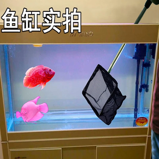 Fisherman fish tank fish pond fishing net net bag copy net ornamental fish telescopic fishing net fishing leaf brush moss net copy net pool 20*18cm fishing net 1 meter pole retractable