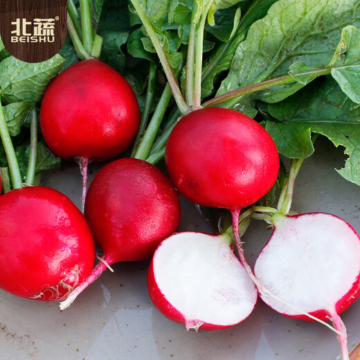 Beishu radish seeds, spring red-skinned fruit radish and vegetable seeds, Weipang No. 1 cherry radish seeds, about 500 pieces