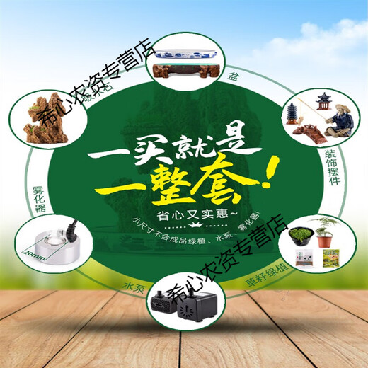 Xushansi water-absorbing stone rockery bonsai original stone water-absorbing stone micro-landscape landscaping strange stone ornamental stone matching decoration 10-14cm water-absorbing stone does not include pots and comes with grass seeds and stones