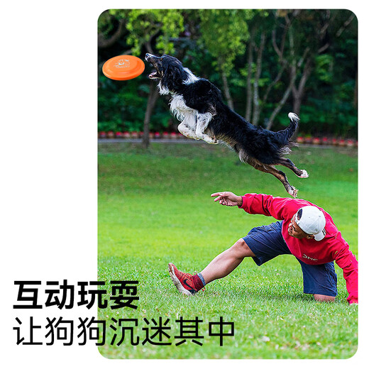 Zhenyou Pet Dog Toy Dog Training Frisbee Border Shepherd Golden Retriever Interactive Boredom Relief Outdoor Training Pet Supplies 18cm