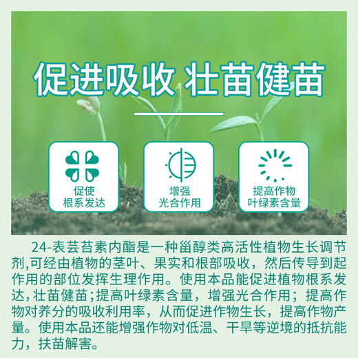 Guoguang 0.01% 24 epibrassinolide lactone strong seedling plant flower-preserving fruit pesticide plant regulator 500ml