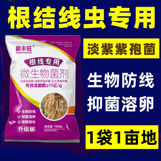 Gengfengwang special medicine for root-knot nematodes, Paecilomyces lilacinus, special medicine for mycorrhizal nematodes, special medicine for preventing nematodes 2Jin Jin is equal to 0.5kg/bag