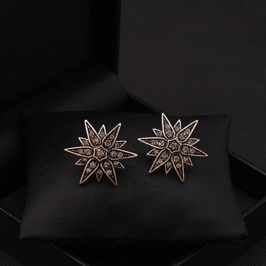 ROSENA SAMMI复古六芒星小胸针西装大衣男士百搭领口扣针装饰衬衫防走光固定扣 六芒星古金色一对【礼盒装】